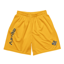 Load image into Gallery viewer, AS21RO Yellow Mesh Shorts
