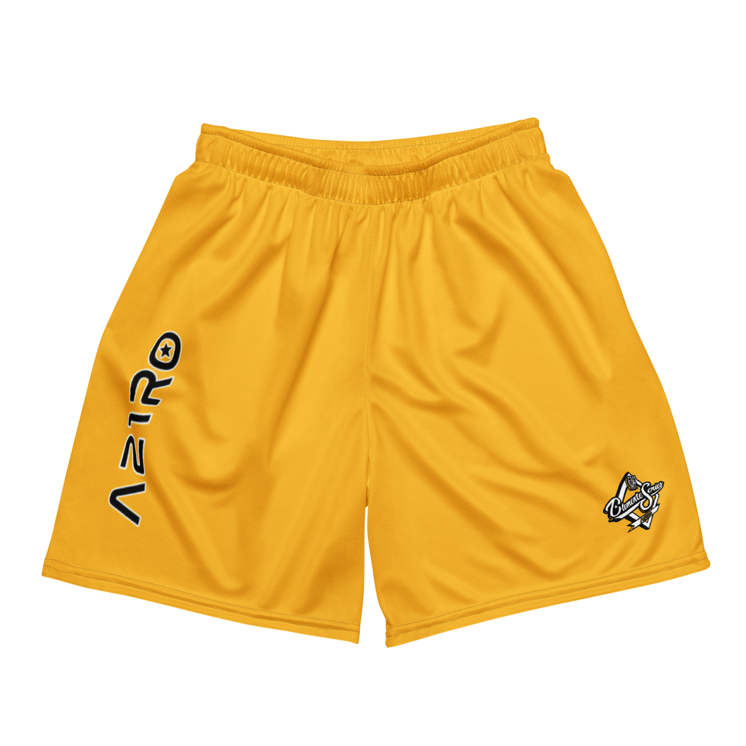 AS21RO Yellow Mesh Shorts
