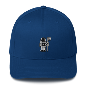 Astro Flexfit Hat