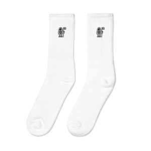 Astro Embroidered Socks